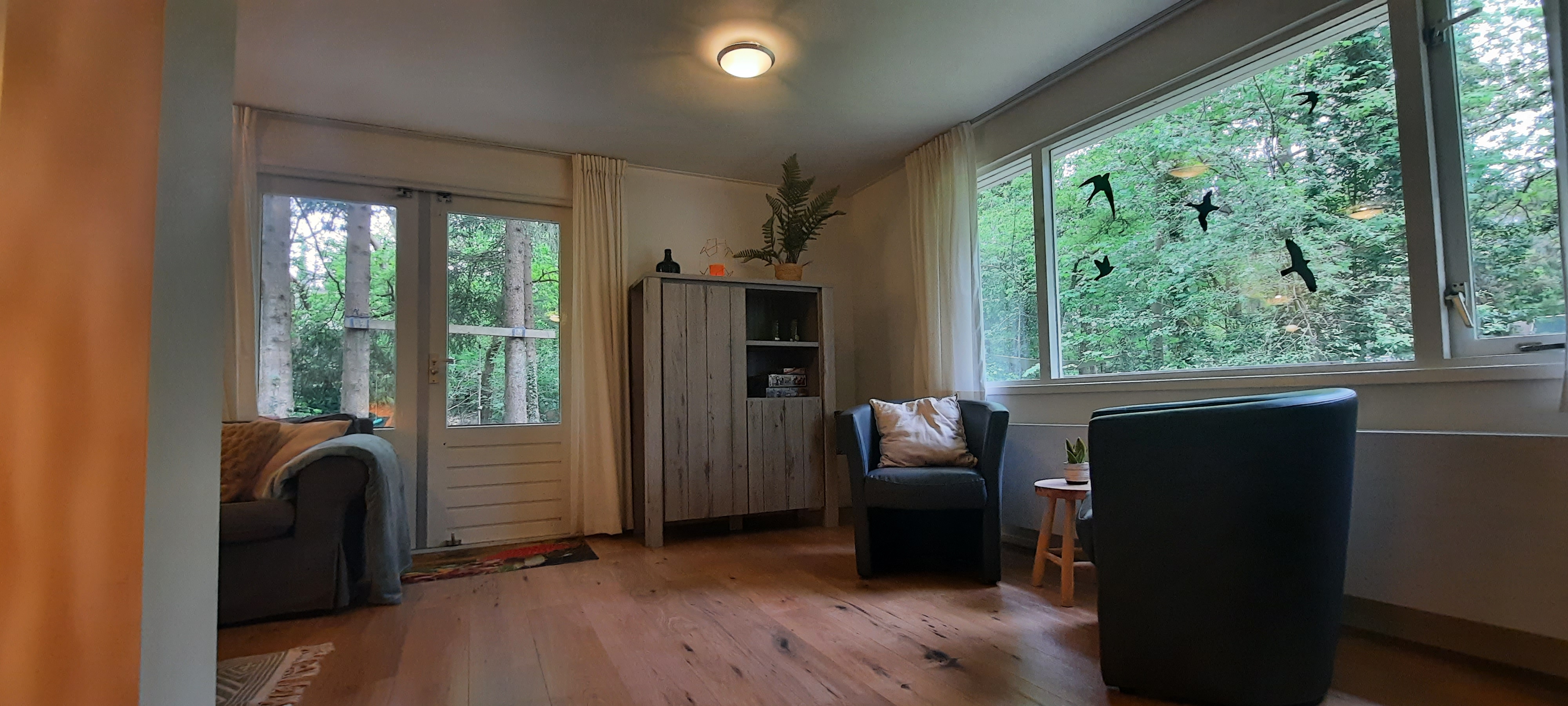 CoCo woonkamer bosuitzicht