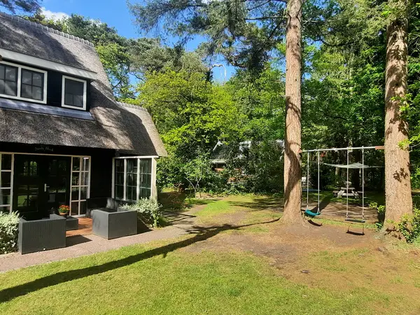 Schommel in de tuin met blauwe lucht